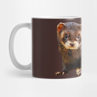 Ferret Mug